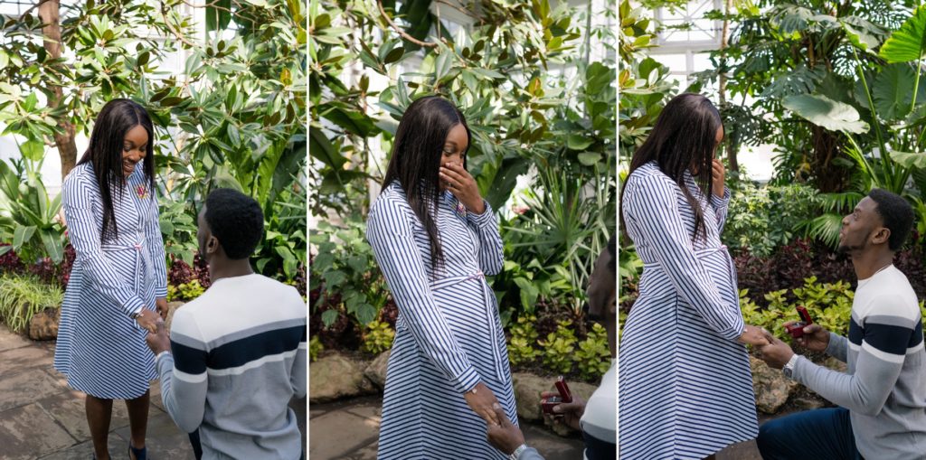 Allan Gardens Botanical Toronto Couples Surprise Engagement Proposal Photography 