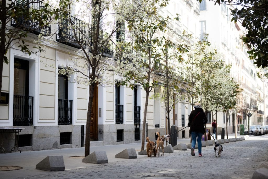 Street photos of madrid spain corona virus COVID-19 Street photos of madrid spain corona virus COVID-19