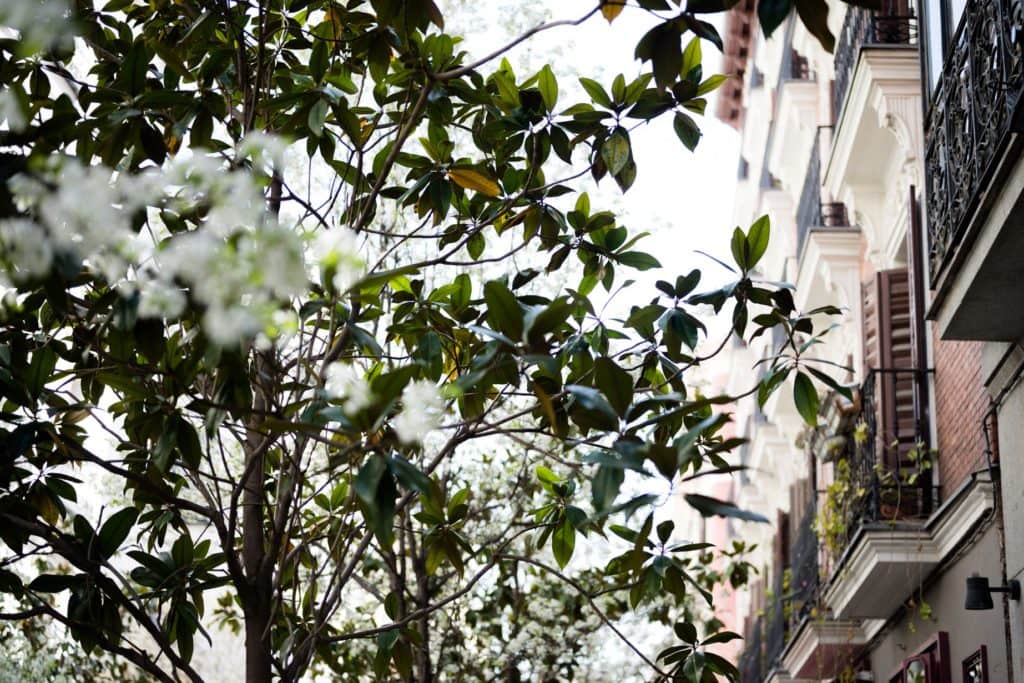 Street photos of madrid spain corona virus COVID-19 Street photos of madrid spain corona virus COVID-19