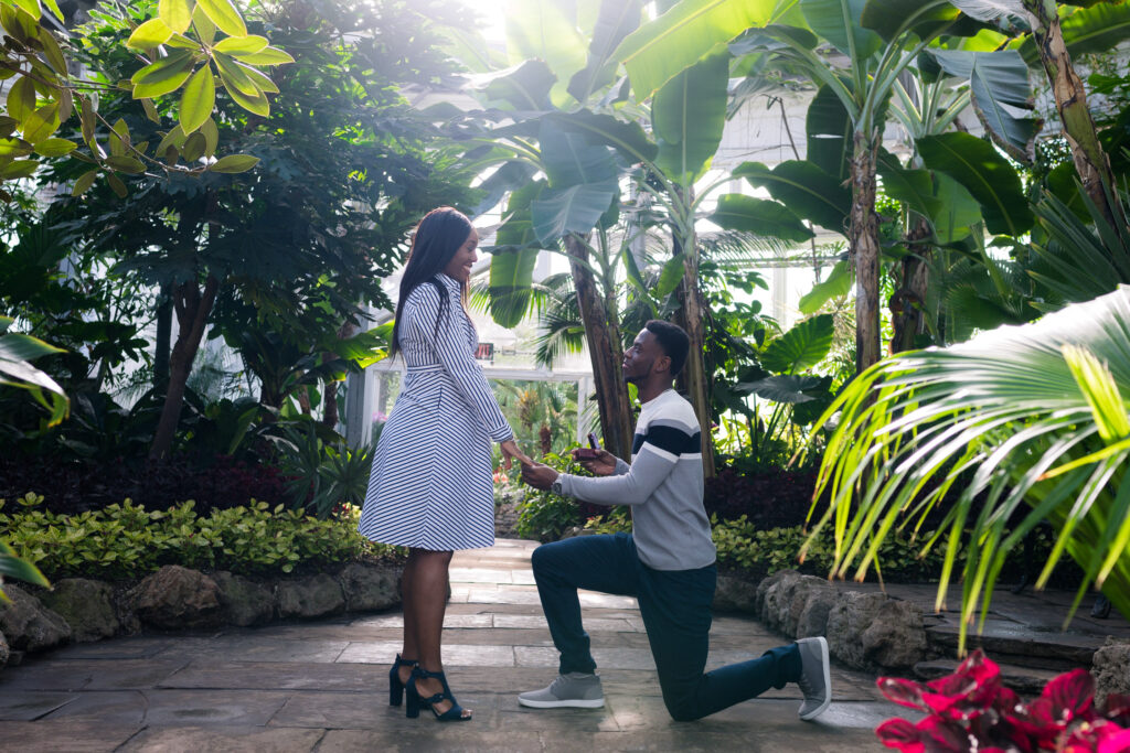 romantic valentines day surprise proposal at torontos botanical allan gardens