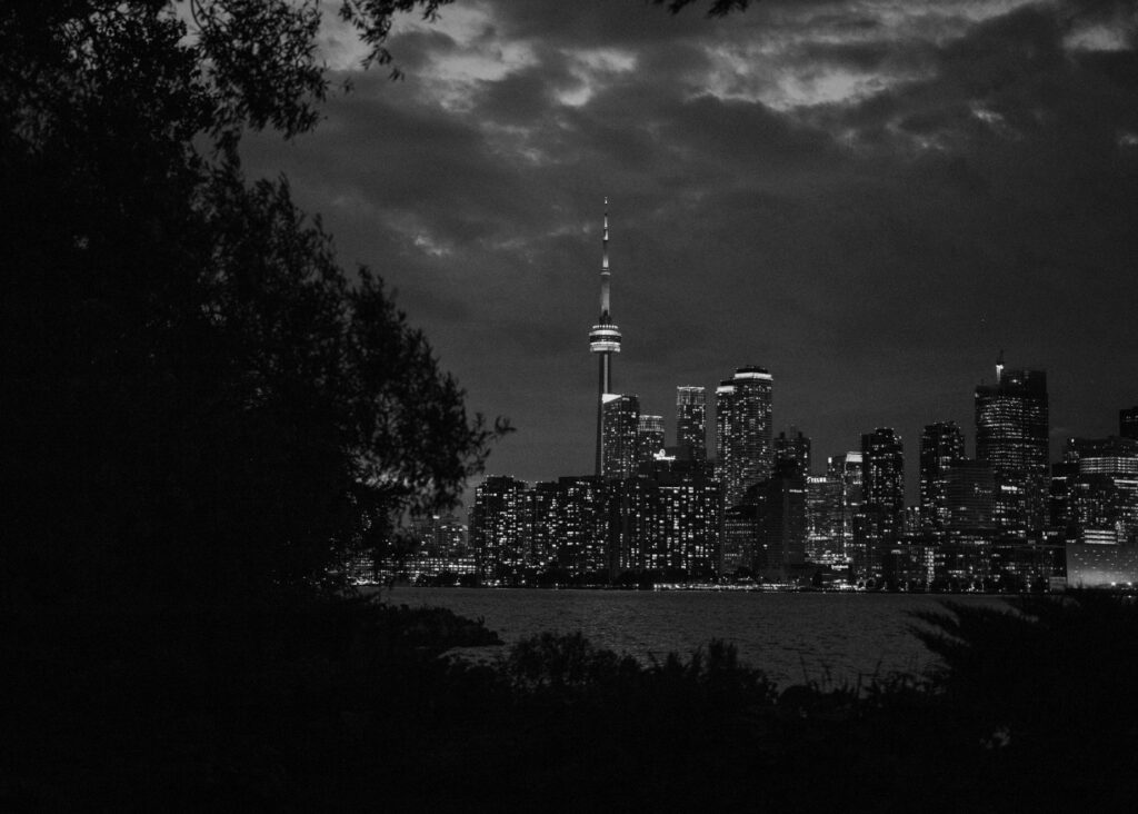 Toronto Island Surprise Engagement Proposal Picnic Photoshoot Session