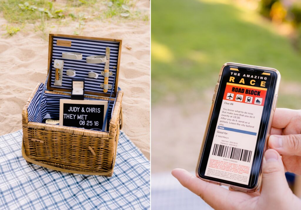 Toronto Island Surprise Engagement Proposal Picnic Photoshoot Session