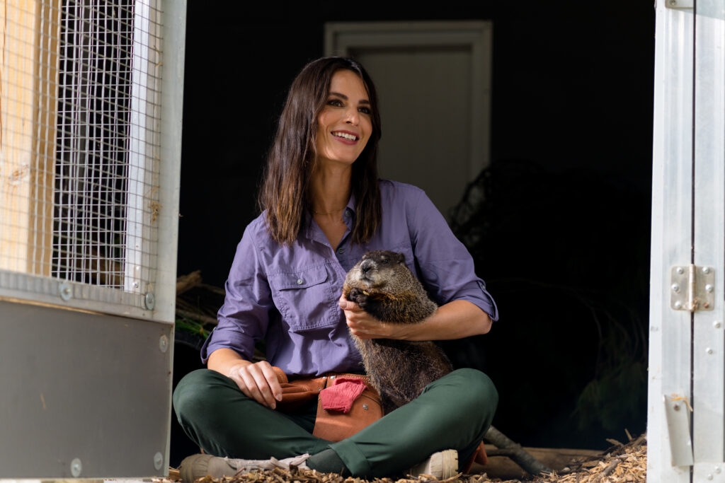 Nola Martin sit caring for an animal at her vets in Love in Wolf Creek, a Hallmark movie