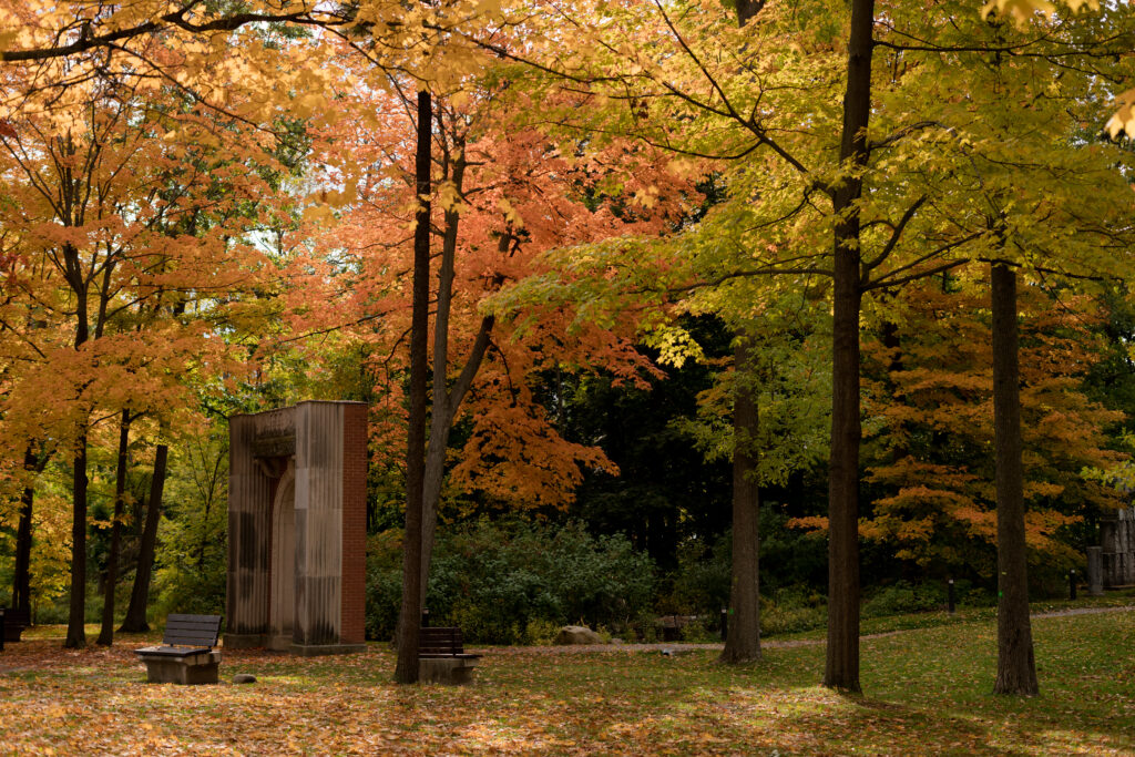 Surprise Fall Proposal Engagement Photos Guildwood Park - Photographer, Lauren Newman
