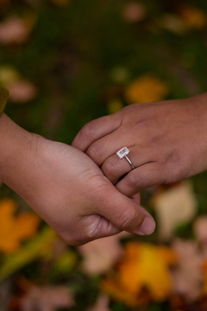 Surprise Fall Proposal Engagement Photos Guildwood Park - Photographer, Lauren Newman