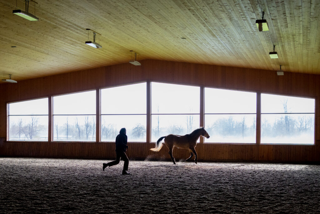Craig Stickland runs after a horse in scene from Country Hearts Christmas